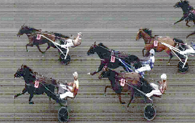 Castor the Great klar til Paralympiatravet