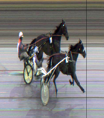 Jarlsberg: To danske vindere