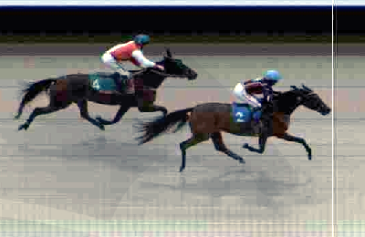 First One Diamond klar til Montéeliten på Solvalla