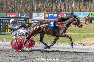 Bornholm: Hattrick forude