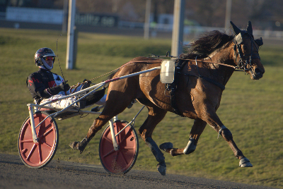 Bet25’s Dynamit Odds: Hvor er gevinsten i dag?