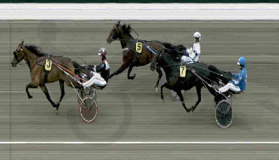 Første sejr til Stutteri Wynn