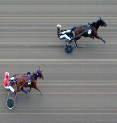 Dansk sejr på Momarken