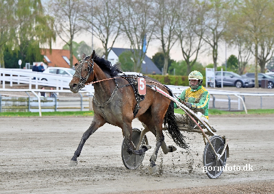 Skive: Hoppederbyvinderen sæsondebuterer