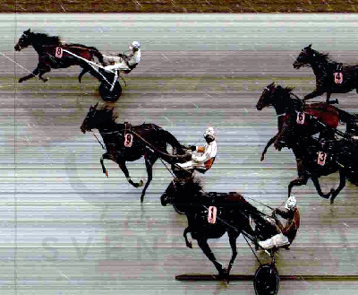 Kentucky River til Paralympiatravet – San Moteur galoperede