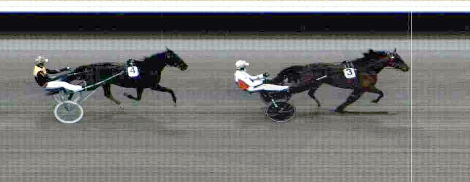 Fra Wolvega til Solvalla