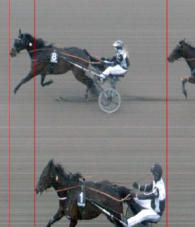 Familiefight på Falster