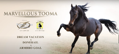 Marvellous Tooma er populær i USA