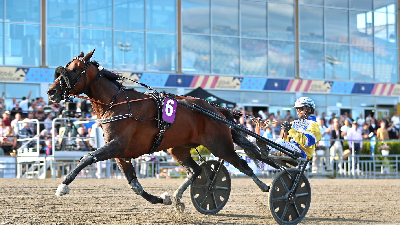 Elitloppet: Sølvdivisionshest blev nummer otte