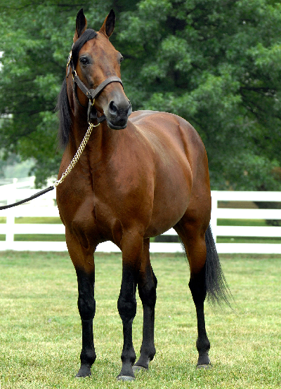 Staldnyt: Flemming Jensen