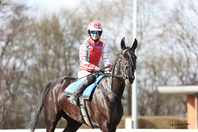 Har tjent mere end 100.000 kroner i Monté