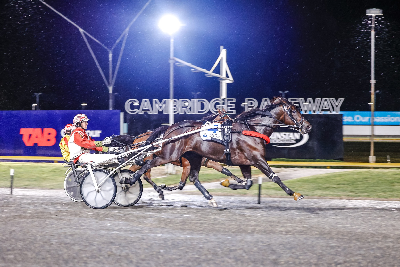 Elitloppshest nummer tre i sidste test før afrejse