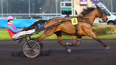 Hvem tjente mest i Danmark i 2025?