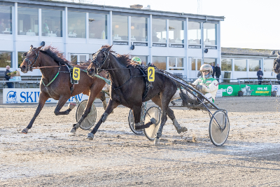 Dynamit odds: Er 7.50 på Inverness Downs er godt odds?