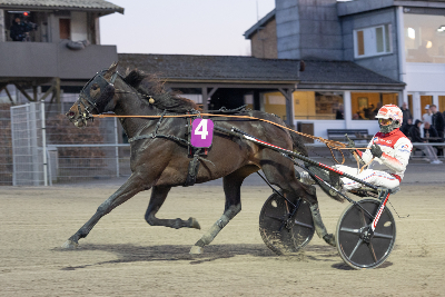Fine 3-årige hopper mødes i Aalborg