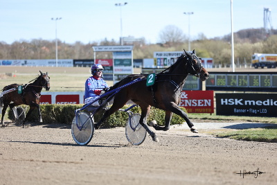 V65-Aalborg: Lipa Wee – et godt holdepunkt