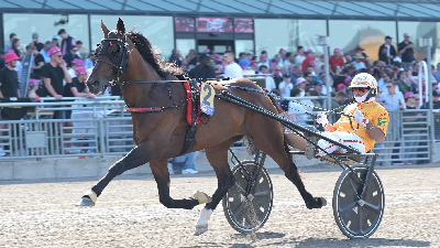Lotteria-vinder til Elitloppet
