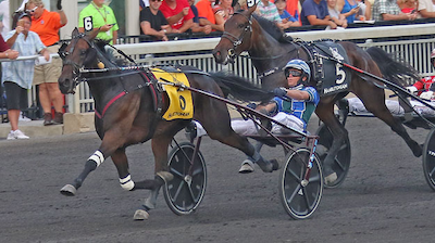 Hambletonian-vinder slider for føden
