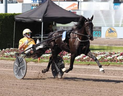 Copenhagen Cup: Diva EK har noget at leve op til