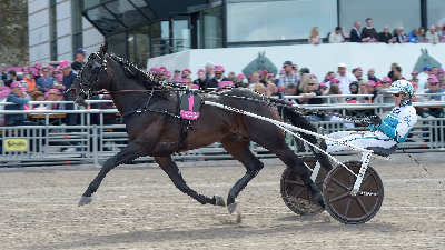 Elitloppet: Don Fanucci Zet er klar