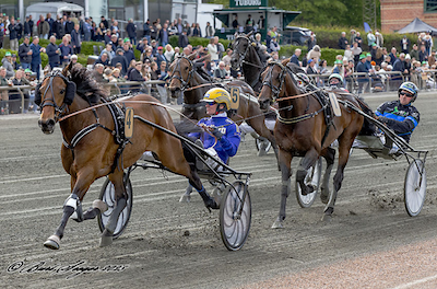 4 års Eliten: Karat C N fin i sæsondebut