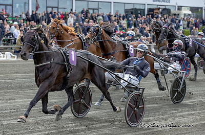 Odense: Se programsiderne til Sprintermesterdagen