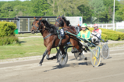 JVB: Fik du Dynamitodds på Heart of Steel!