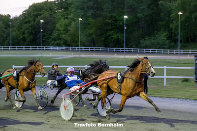 Bornholm: Ingen løste V65-spillet