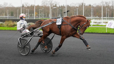 Elitloppet: Cobra Killer Gar ud – Hooker Berry ind