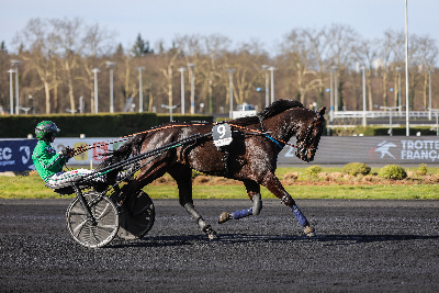Travl franskmand på besøg