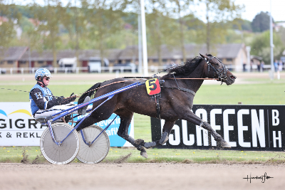 Anne skriver: – Om  hvor glad man kan blive for resultatet i et Rutineløb