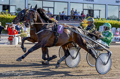 Danske vindere i Sverige og Norge