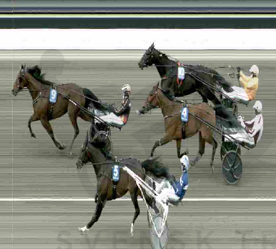 Åby: Killer Rain stærk vinder i 1.10.5