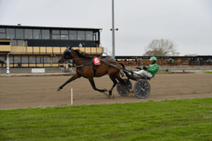 NFT: Kjær og Ladegaard kan dominerer løbsdagen