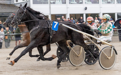 Fra Fleming Jensen til Mattias Djuse