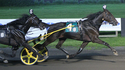 USA: Get a Wish fløj ned gennem opløbet