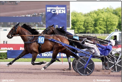 Lovino Bello slog Frank Gio