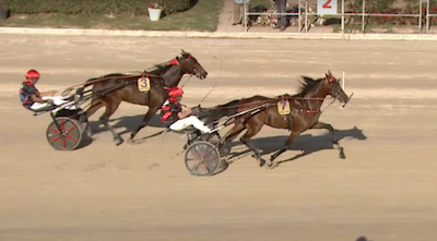 Mallorca: Dobbelt sejr til ejer, træner og opdrætter i Gran Premi Nacional
