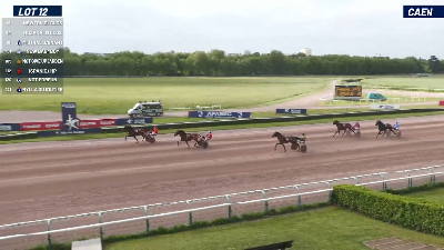 Dansk 2-åring godkendt i Frankrig