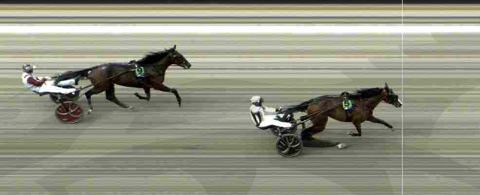 Danskejede Wise Guy slog storfavoritten Ginostrabliggi og satte verdensrekord