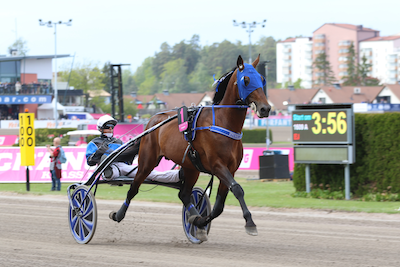 Etonnant sluttede karrieren på Solvalla
