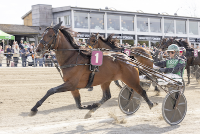 Dansk deltagelse når Tingsryd har sin første V75-dag