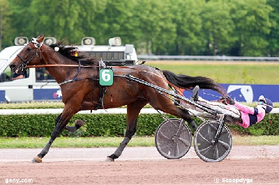 Var det godt nok til en invitation til Elitloppet?