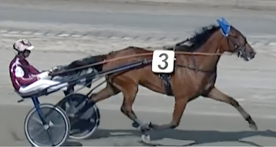 Ny sejr til dansk 3-åring i Italien