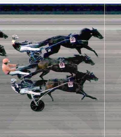 Lynhestene havde en god dag