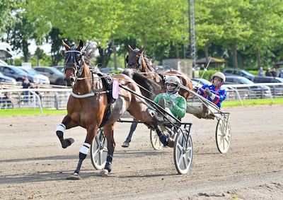 Vinder Bordeaux Face i sin første start på Falster?