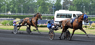 Eros Zola rundede 700.000 kroner i indtjening i år