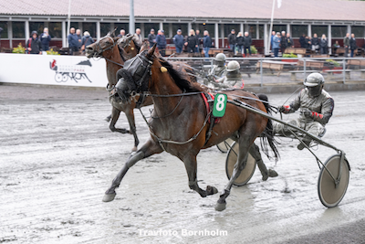 Cerosso svigtede – og så gav V4 17.051 kroner