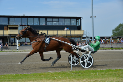 Grøn bølge ramte Falster