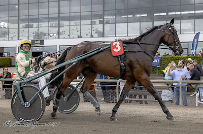 Ibrahim – eneste dansktrænede hest på Oslo Grand Prix-dagen